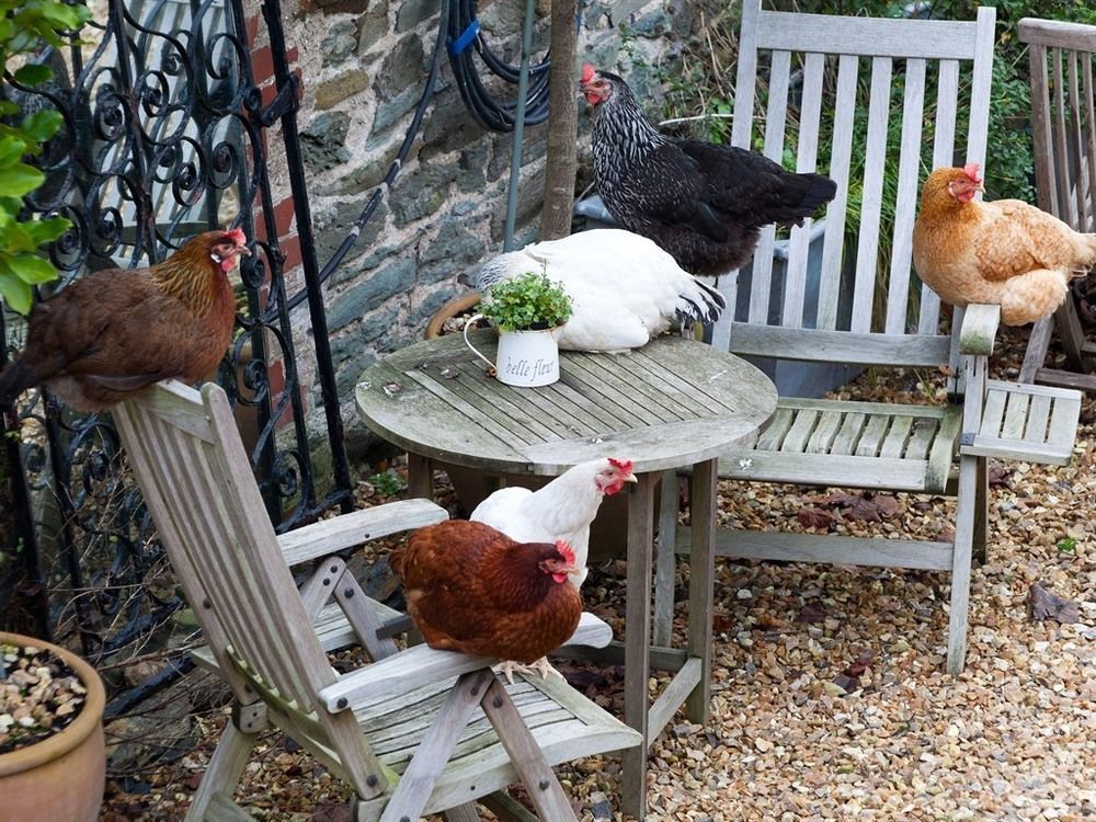 Glebe Farm B&B Kingsbridge  Exteriér fotografie